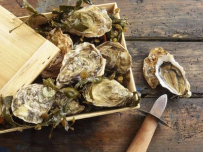skin care california oysters